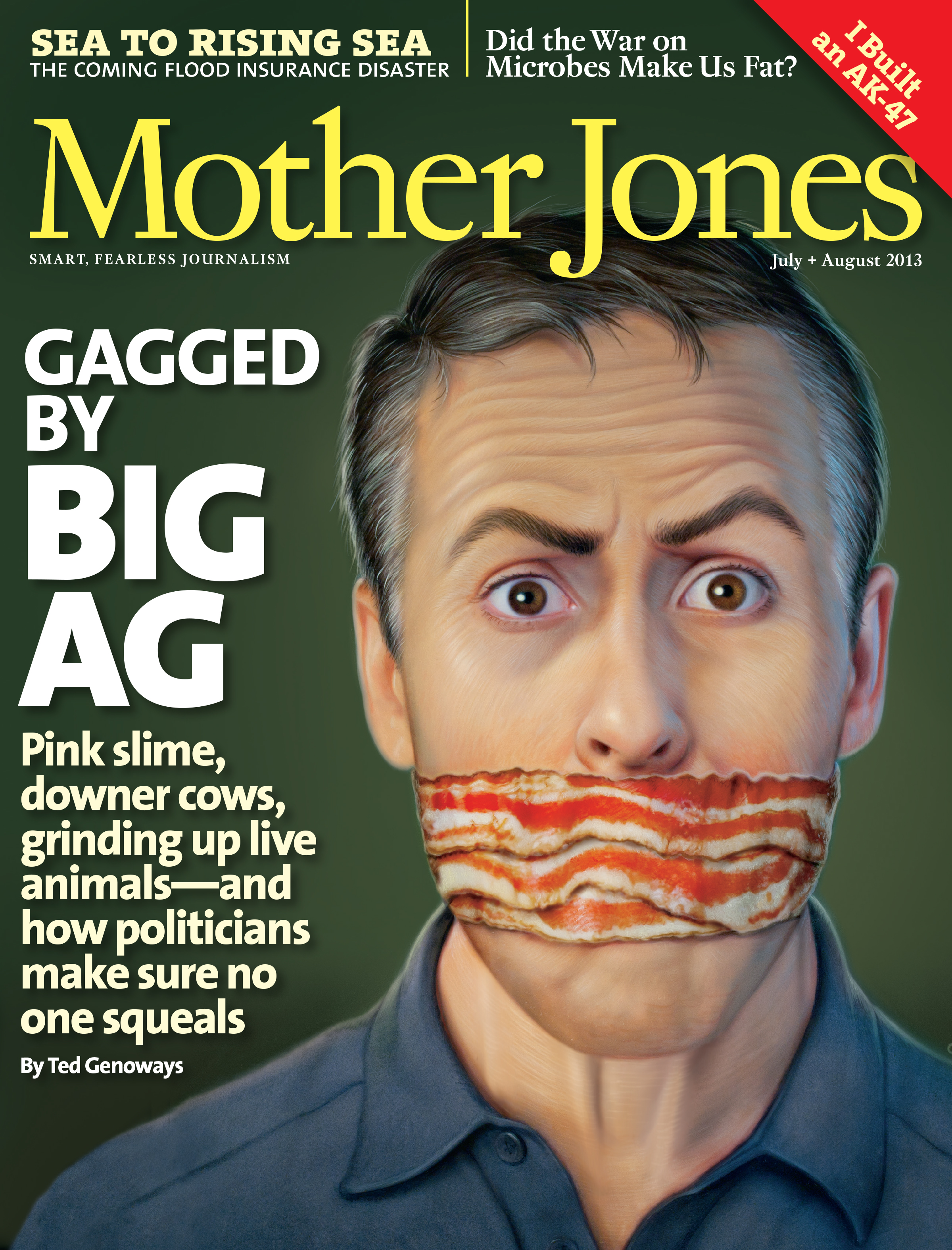 Mother Jones Magazine Cover : July + August 2013