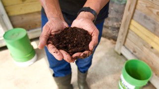 A pair of Black hands holds a handful of rich brown compost.