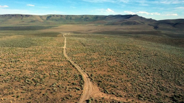 A dirt road cuts through a shrub filled desert.