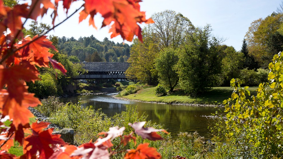 Trees surrounding a bridge and a body of water. Most of the trees and grass are green, but some is starting to turn red