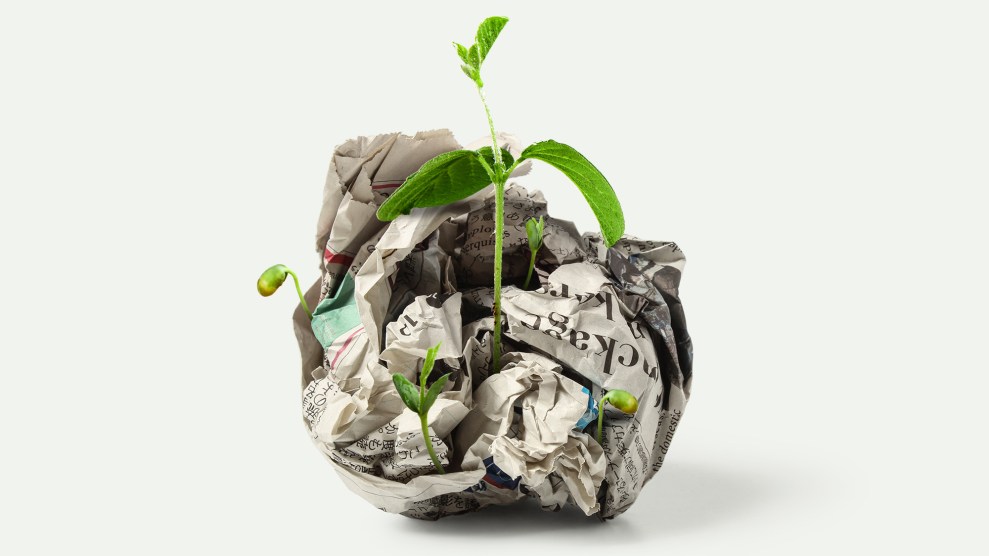 Plant seedlings sprout from a balled up newspaper.