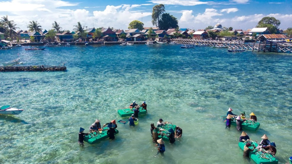 People stand in shallow water and assemble cage-like structures on floating blue work tables.