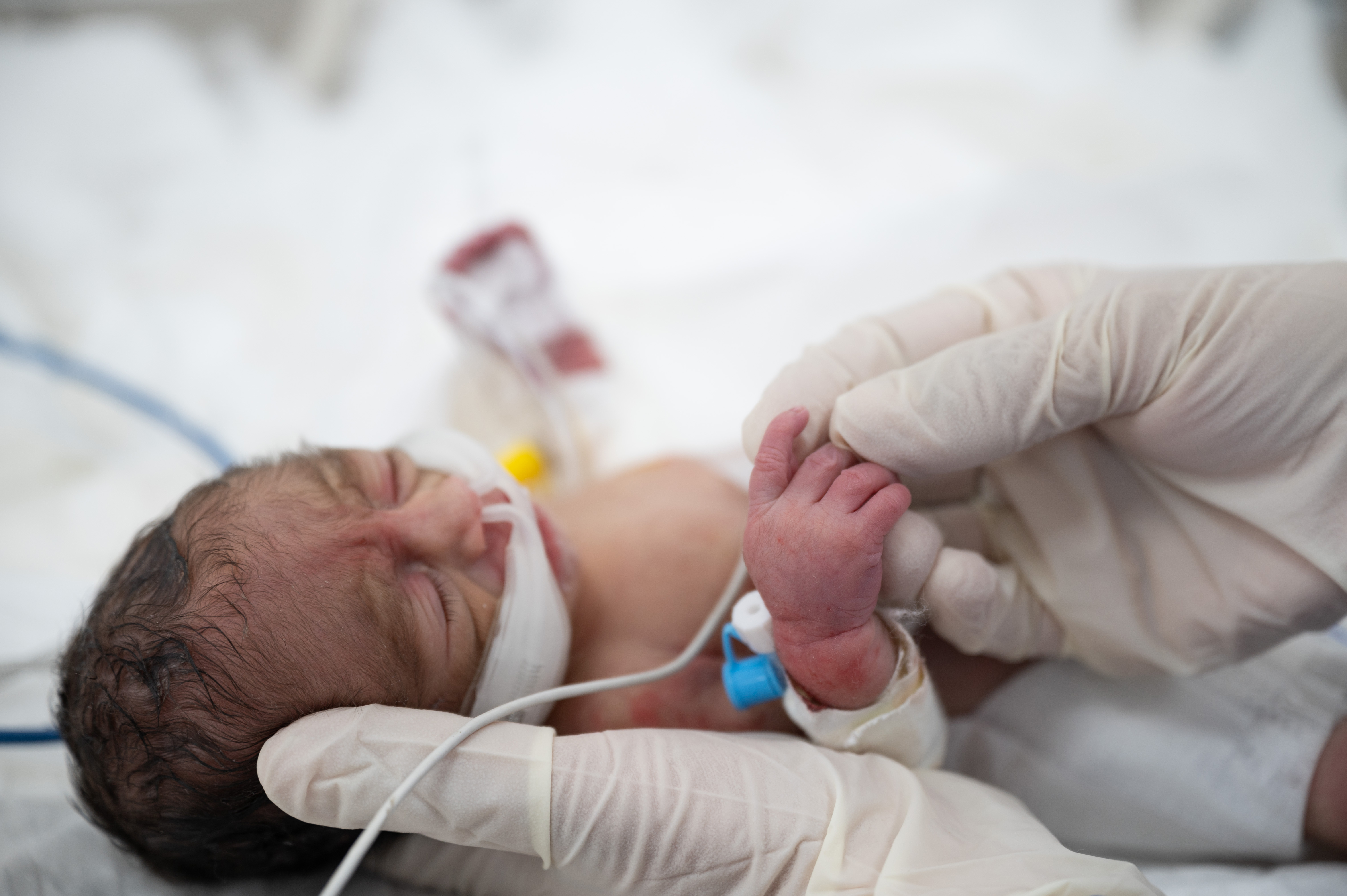 Gloved hands hold a newborn baby.