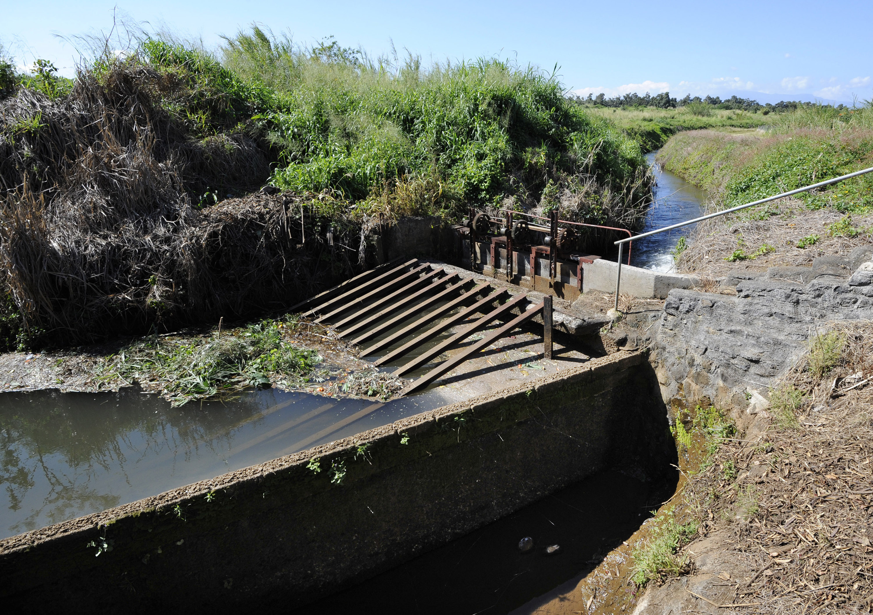 Water moves through an aqueduct in a field.