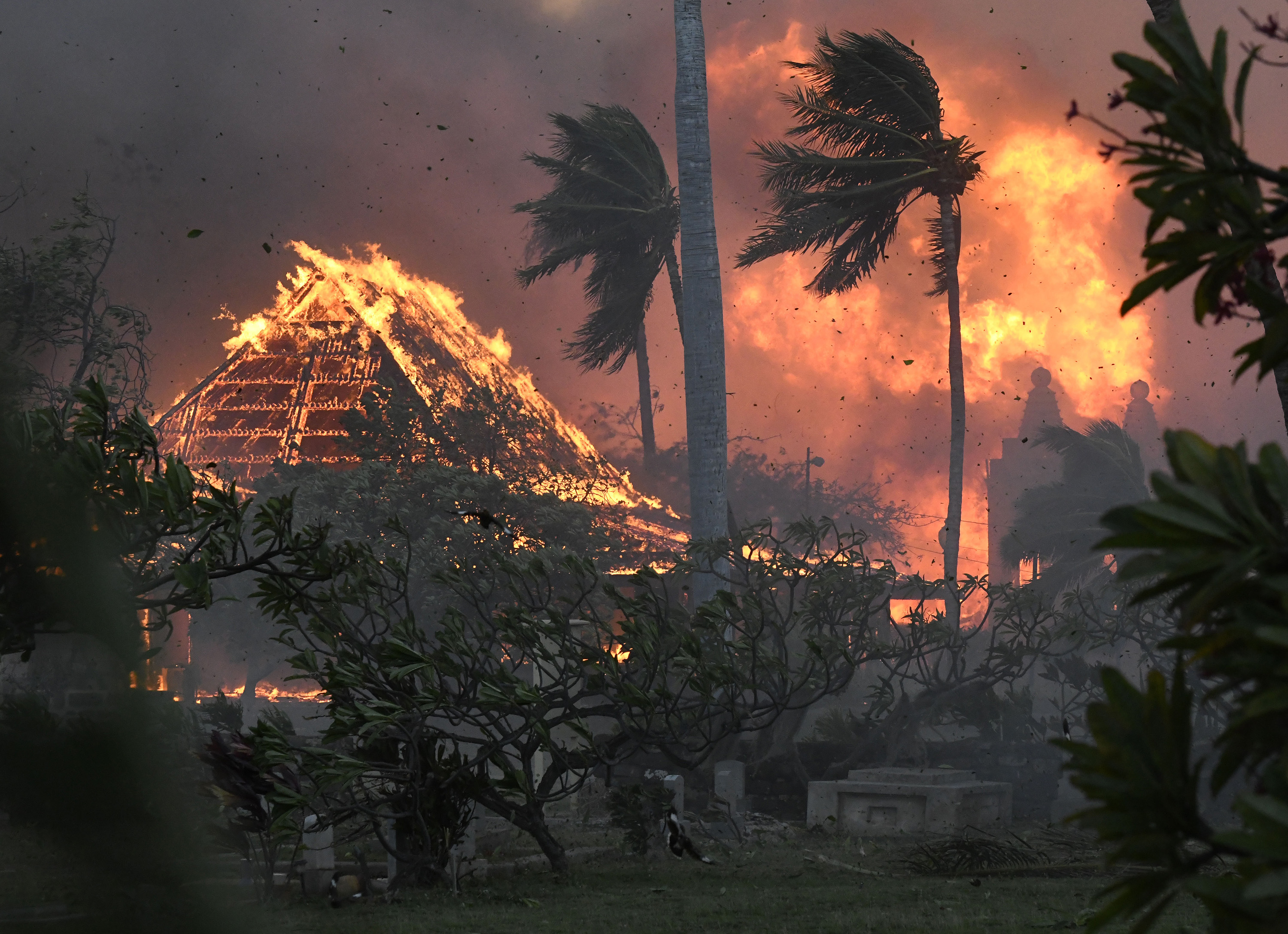 A house and palm trees burn in a massive wildfire.