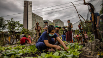 Woman kneels in garden, wearing a mask with city behind her.