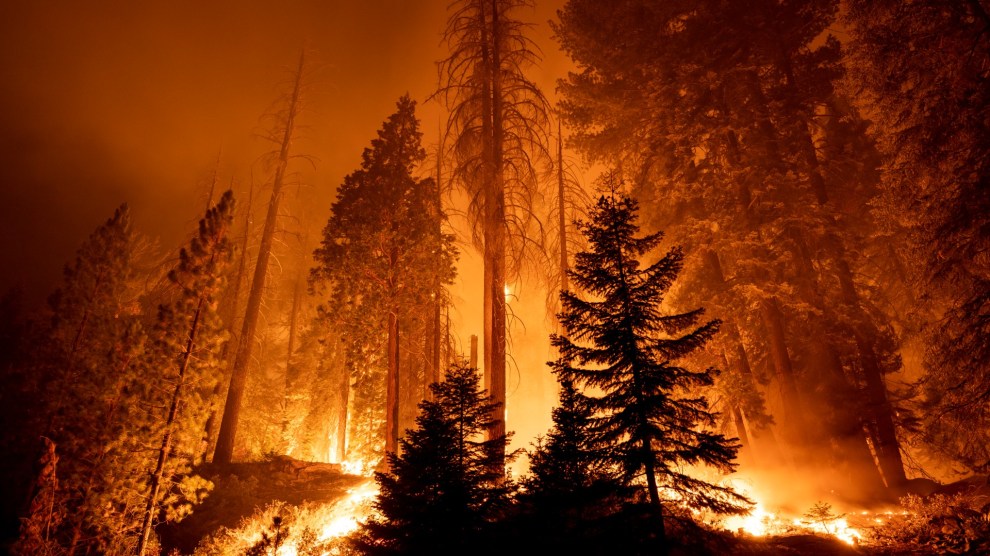 Trees are silhouetted by a fiery orange blaze