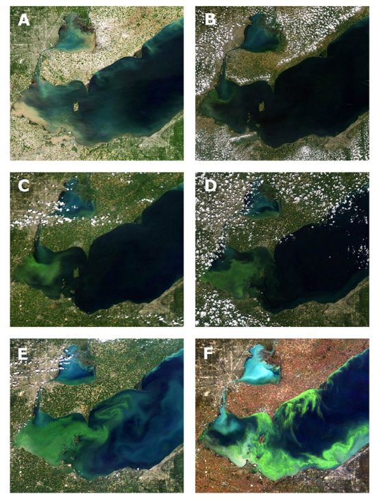 satelite view of algae getting worse over time