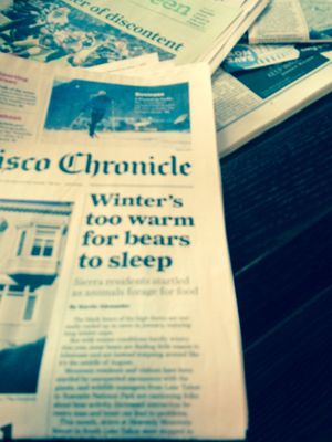 SF Chron front page