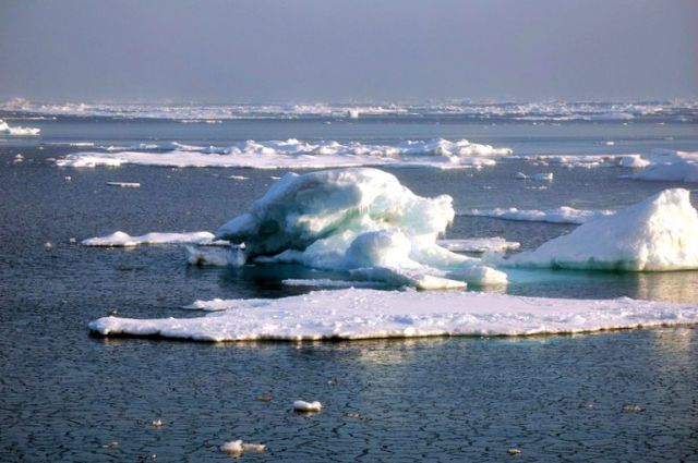 Arctic sea ice: NOAA