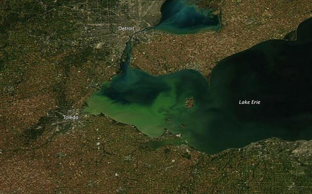 Lake Erie slime